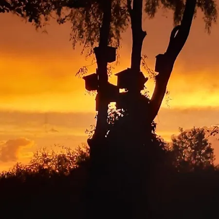 Hébergement de vacances Mosso Skanderborg
